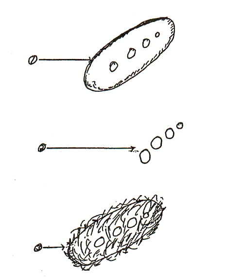 PBB Sketch of Richard S Barry UFO Sighting, Dallas, June 20, 1955