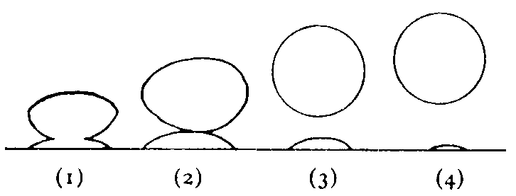 Marine Observations 7