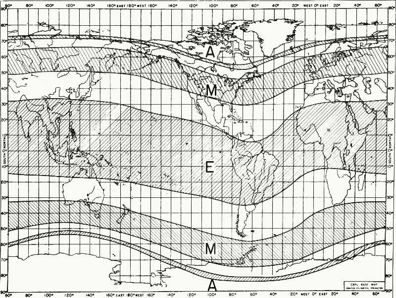 Plate 15