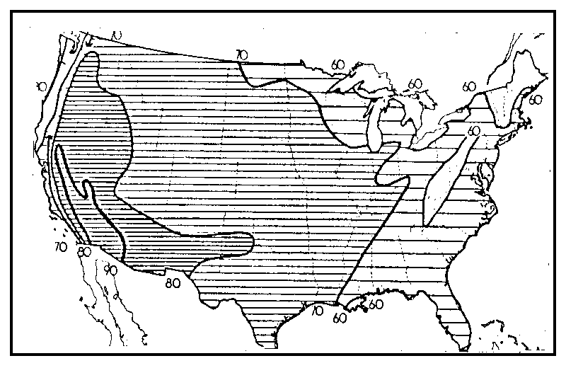 Summer Sunshie Map