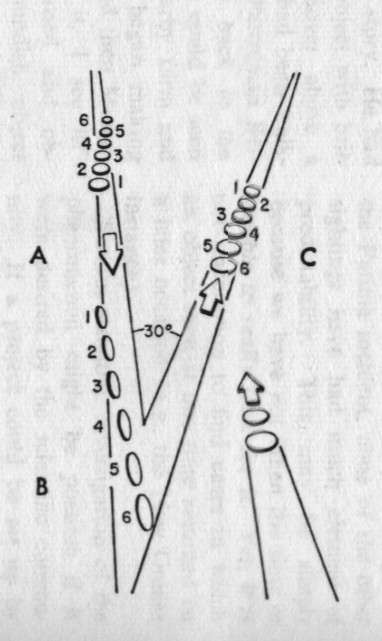 Chesapeake Bay Case